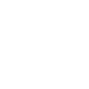 Step Logo